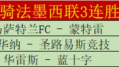 哪國代表參加世界杯的澤馬？